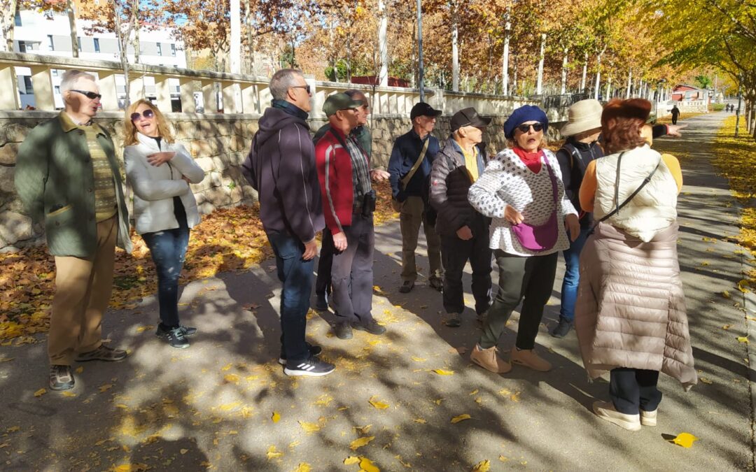 Parque Central Tres Cantos 24/11/2023