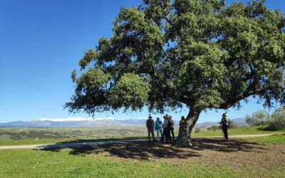 Valdeloshielos 31/03/2025