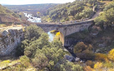 Puente de la Marmota 08/12/2025