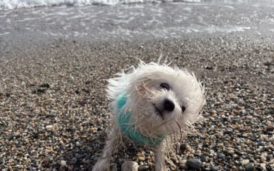 Mi primer encuentro con el mar